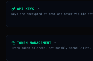 API Keys and Token Management, collapsed by default